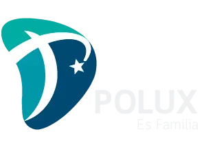 Polux Suministros SAS